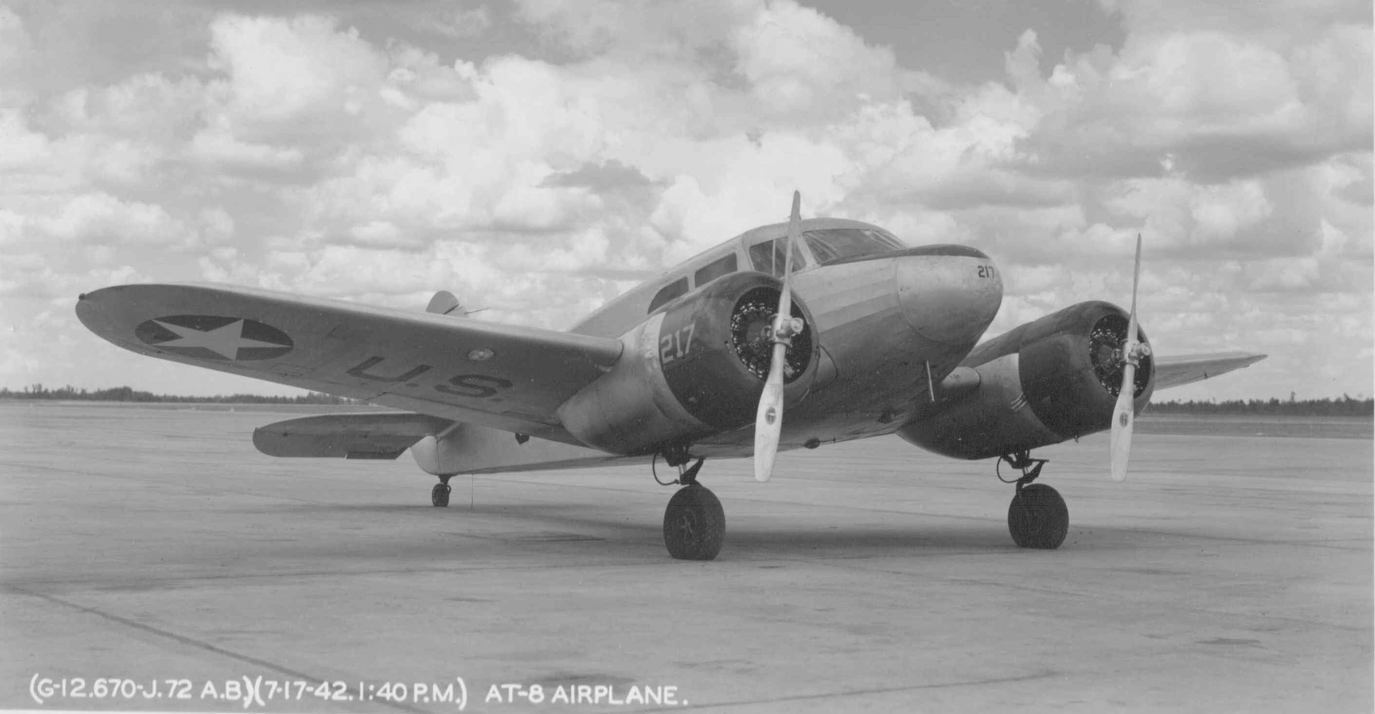 At-8742.jpg (179494 bytes)